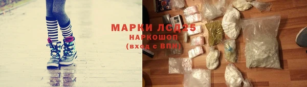 скорость Алзамай